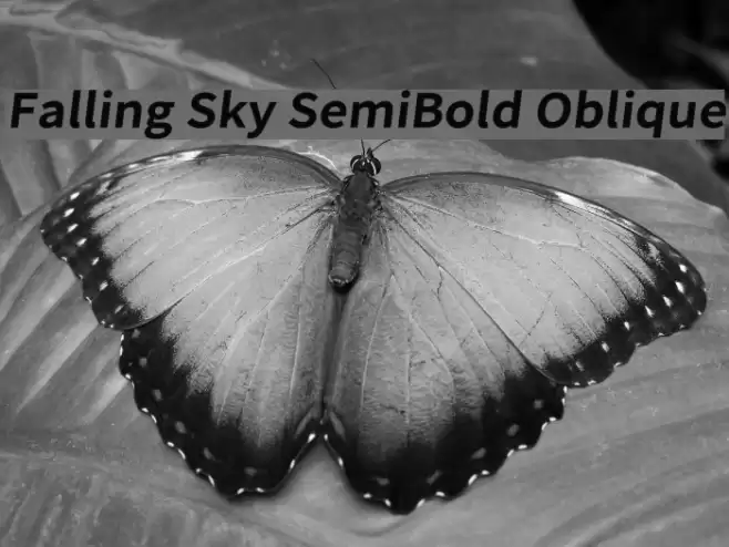 Falling Sky SemiBold Oblique Font examples