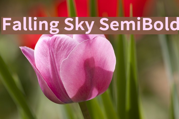 Falling Sky SemiBold Font examples