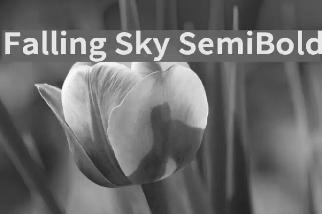 Falling Sky SemiBold Font examples