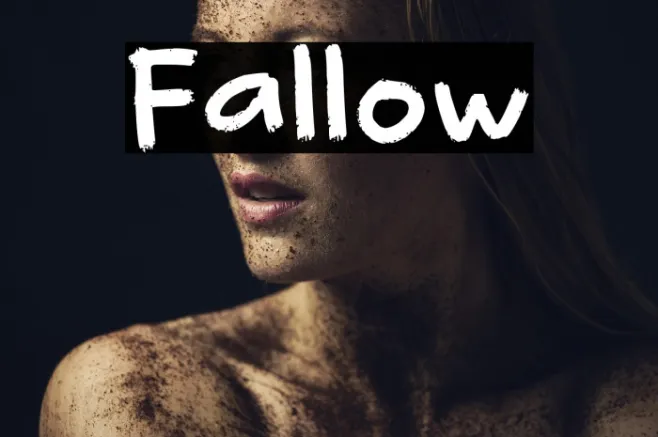 Fallow Example 1