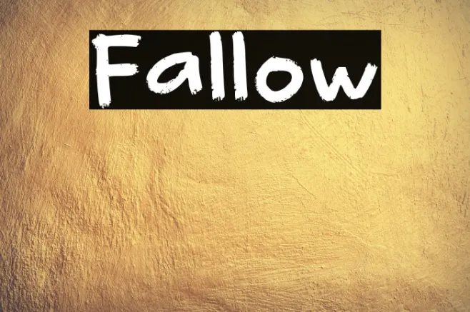 Fallow Example 2