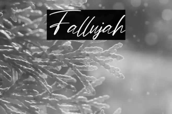 Fallujah Font examples