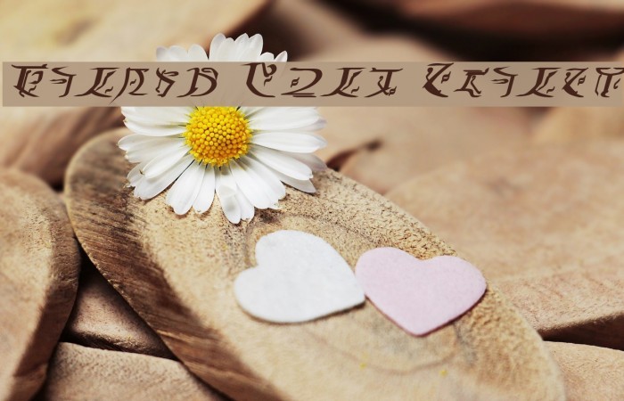 Falmer Bold Italic Example 1