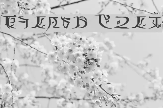 Falmer Bold Font examples