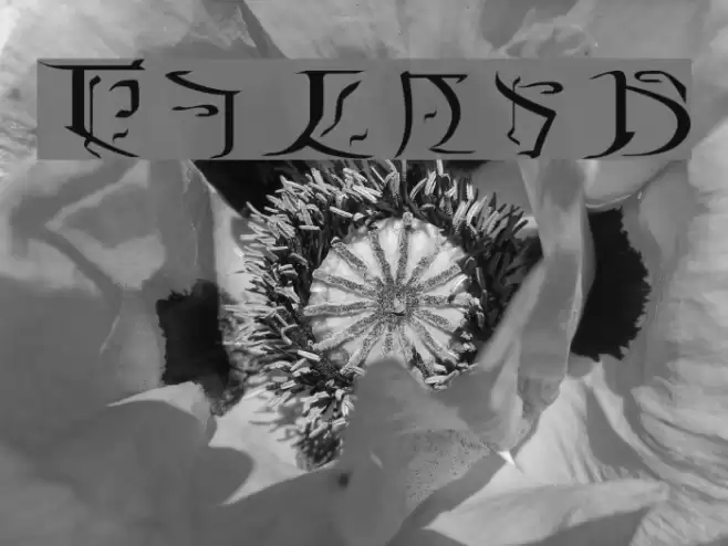 Falmer Font examples