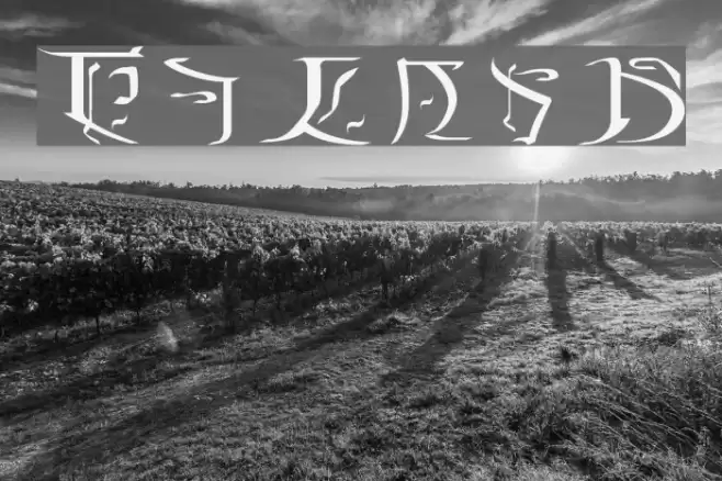 Falmer Font examples