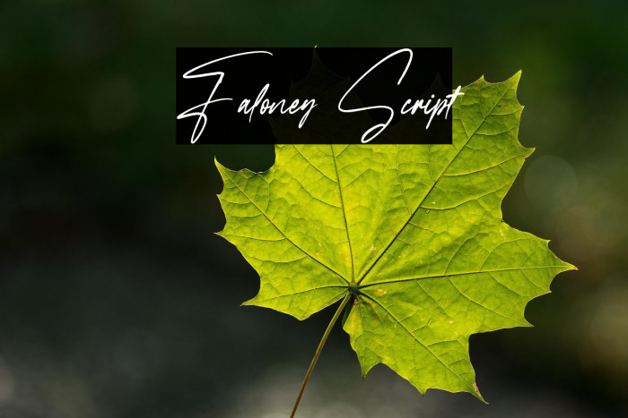 Faloney Script Example 1