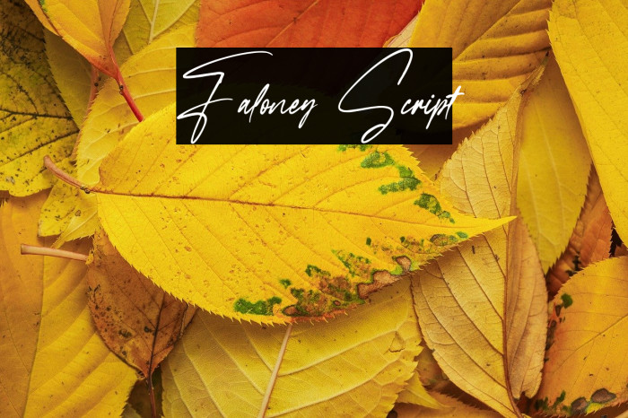 Faloney Script Example 2