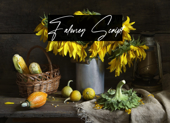 Faloney Script Example 3