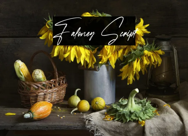Faloney Script Example 3
