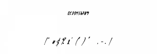 FaloneyScript-Regular Font OTHER CHARS