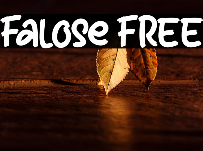 Falose FREE Example 1