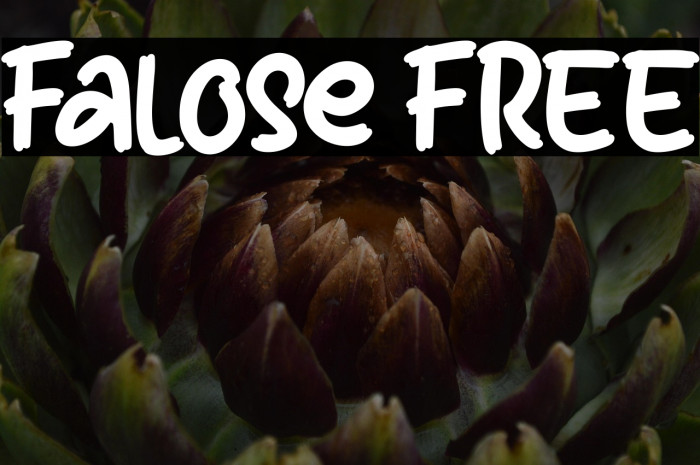 Falose FREE Example 3