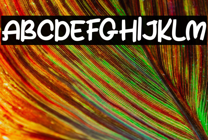 FaloseFREE Example 2