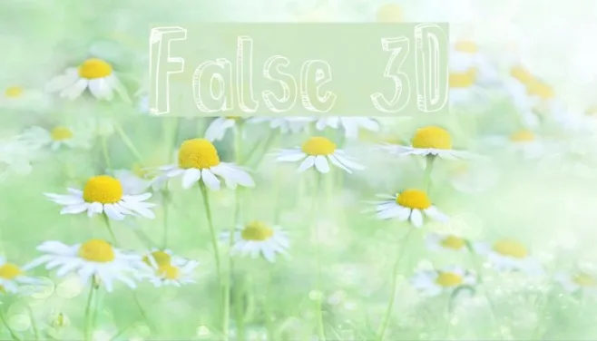 False 3D Example 3