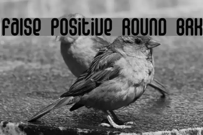 False Positive Round BRK Font examples
