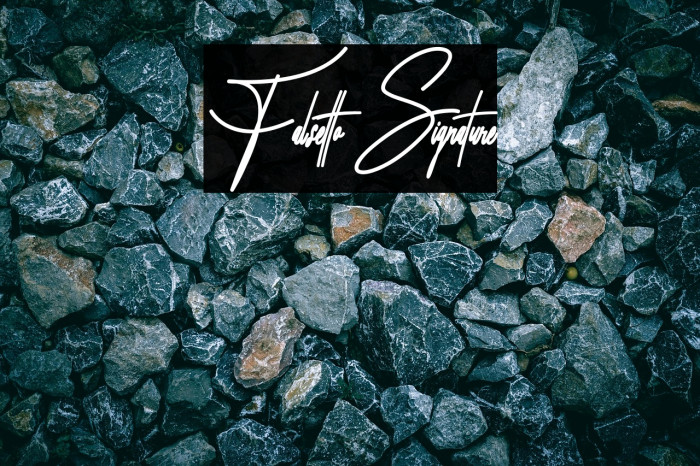 Falsetto Signature Example 1