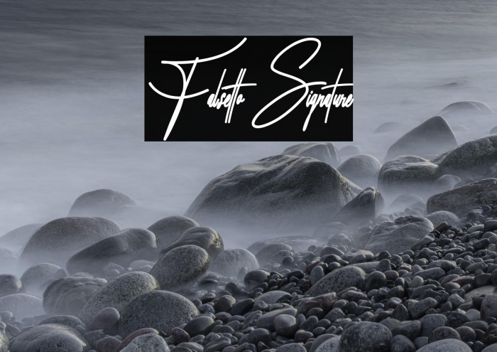 Falsetto Signature Example 3