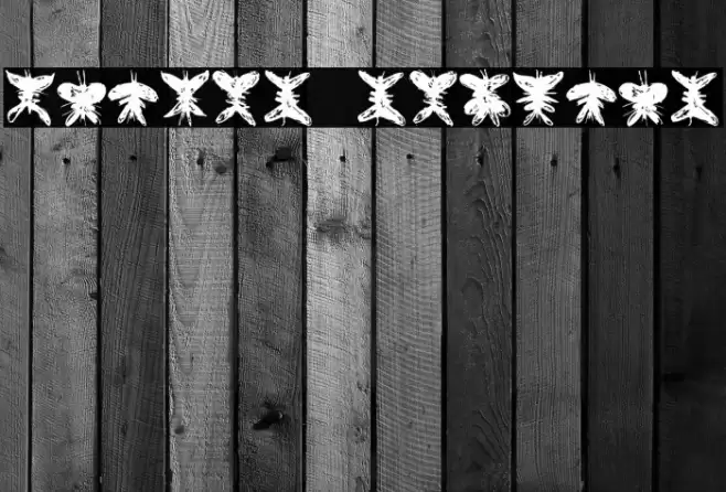 Falter Regular Font examples