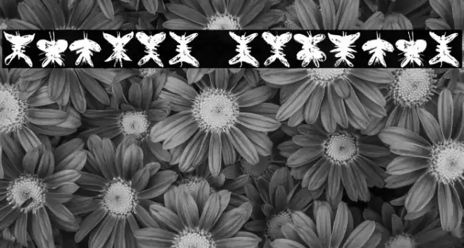 Falter Regular Font examples