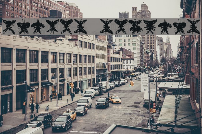 Falter Regular Example 2