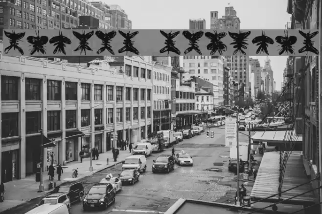 Falter Regular Font examples