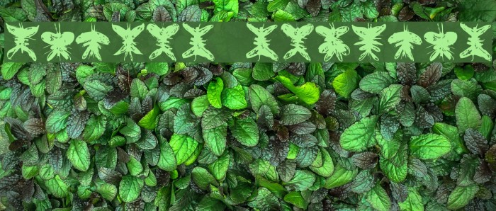 Falter Regular Example 3