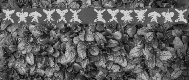 Falter Regular Font examples