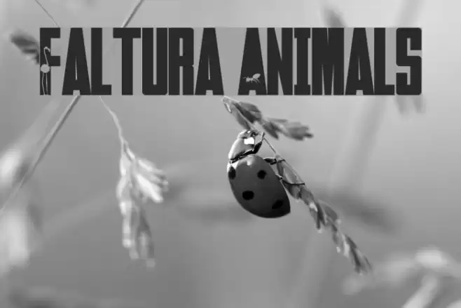Faltura Animals Font examples
