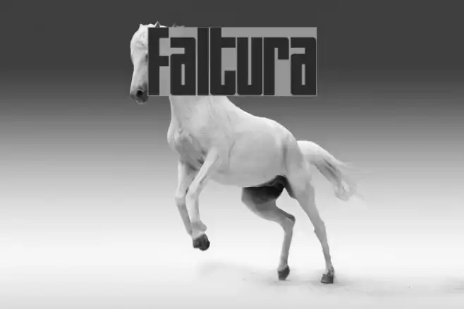 Faltura Font examples