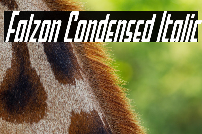 Falzon Condensed Italic Example 1