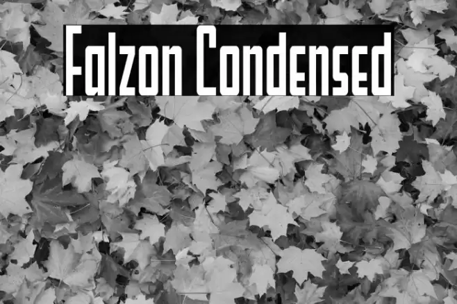 Falzon Condensed Font examples