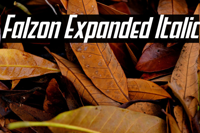 Falzon Expanded Italic Example 1