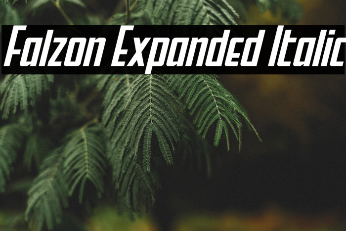 Falzon Expanded Italic Example 2