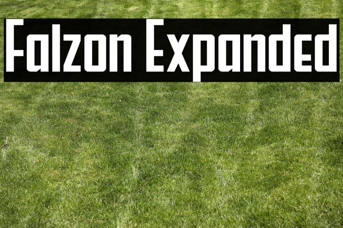 Falzon Expanded Example 1