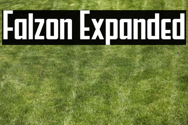 Falzon Expanded Example 1
