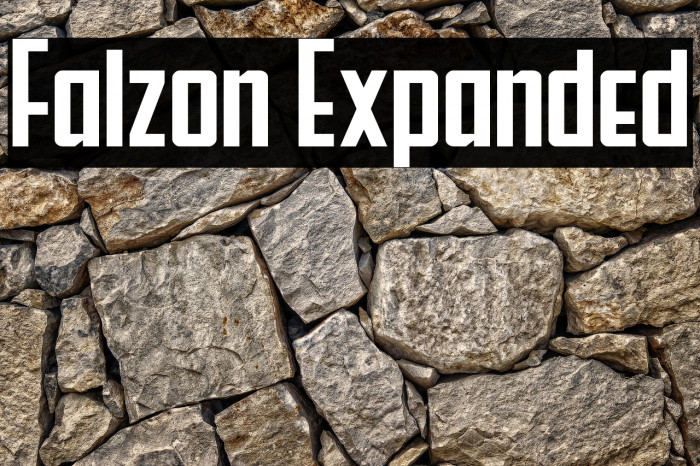 Falzon Expanded Example 2