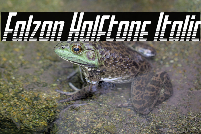 Falzon Halftone Italic Example 2