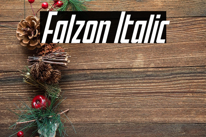 Falzon Italic Example 1