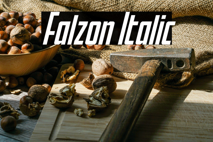 Falzon Italic Example 3