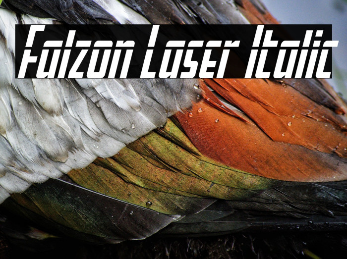 Falzon Laser Italic Example 1