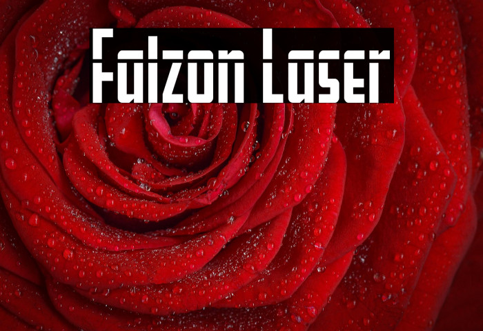 Falzon Laser Example 2