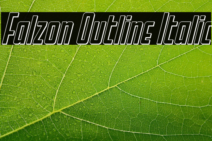 Falzon Outline Italic Example 2