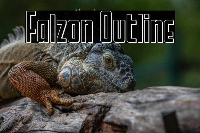 Falzon Outline Example 2