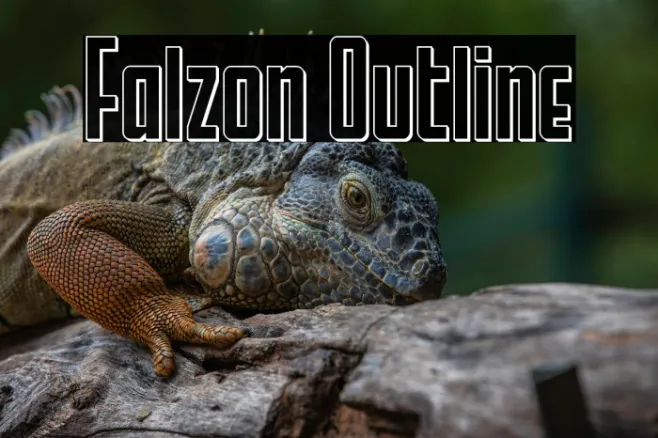 Falzon Outline Example 2