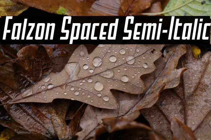 Falzon Spaced Semi-Italic Example 2