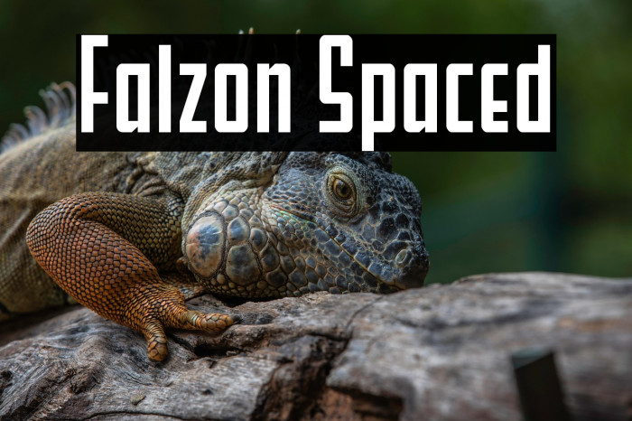 Falzon Spaced Example 3