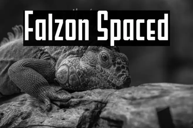 Falzon Spaced Font examples