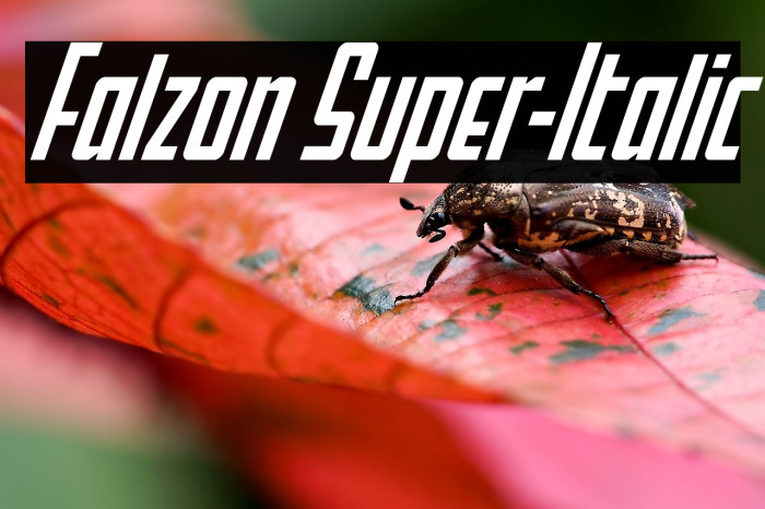 Falzon Super-Italic Example 1