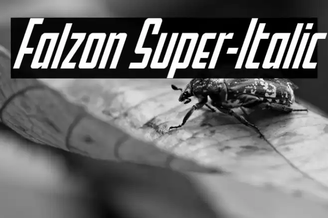Falzon Super-Italic Font examples